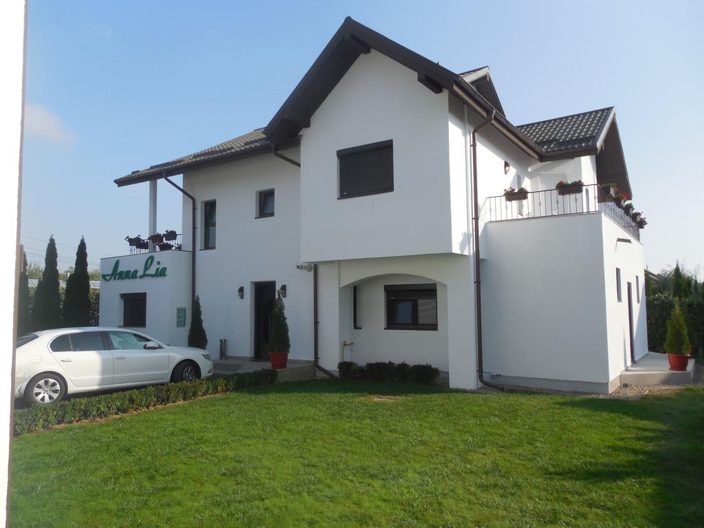 Villa Annalia - Rooms To Rent Bacău Exterior photo